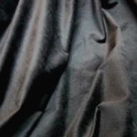 Velours gris ras