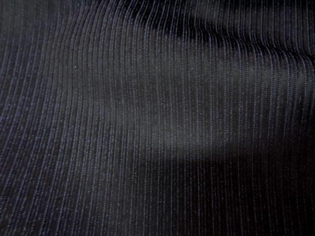 Velours noir a cotes moyenne sur fond bleu3