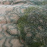 Velours ras camaieu kaki vert 03