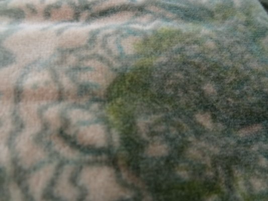 Velours ras camaieu kaki vert 03