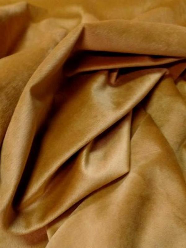 Velours ras d ameublement ocre doré