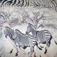 Viscose blanc casse zebres au galop 1 