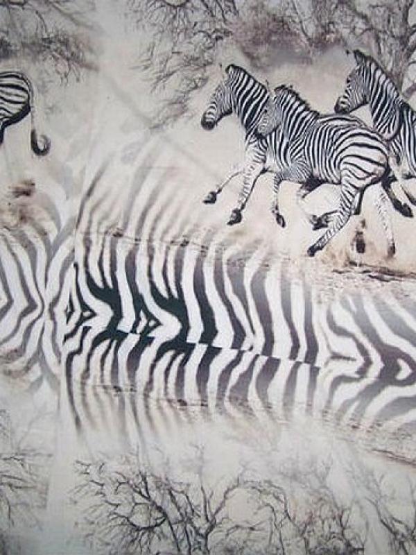 Viscose blanc casse zebres au galop 4 