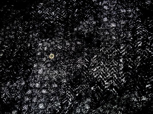 Voile noir dévoré velours 1