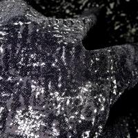 Voile noir dévoré velours 2