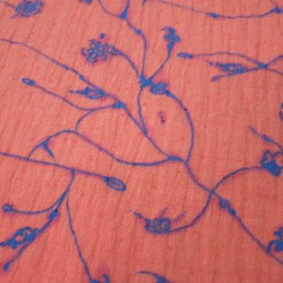 Voile organza superpose coton saumon motif bleu lumineux 1 