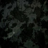 Voile polyester noir devore 2 