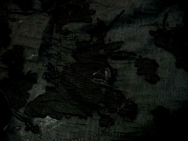 Voile polyester noir devore 3 