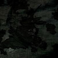 Voile polyester noir devore 3 