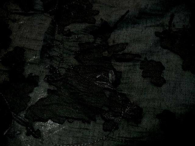 Voile polyester noir devore 3